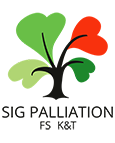 SIG palliation logo